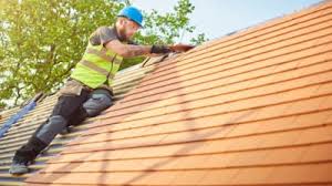Best Green or Eco-Friendly Roofing Solutions  in North Shore, VA