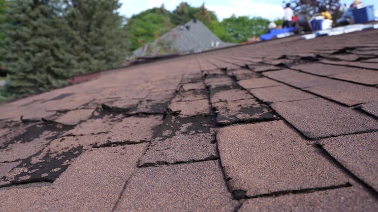 Best Cold Roofs  in North Shore, VA