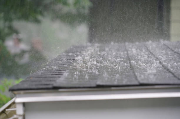 Best Rubber Roofing (EPDM, TPO)  in North Shore, VA