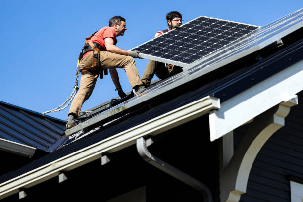 Best Roof Moss and Algae Removal  in North Shore, VA